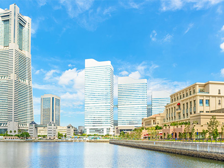 小安踏